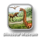 Dinosaur Museum